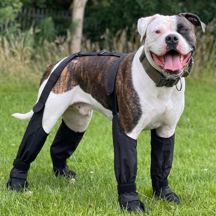 Krushop™ Waterproof Dog Leg Boots & Protective Pants