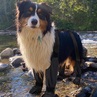 Krushop™ Waterproof Dog Leg Boots & Protective Pants